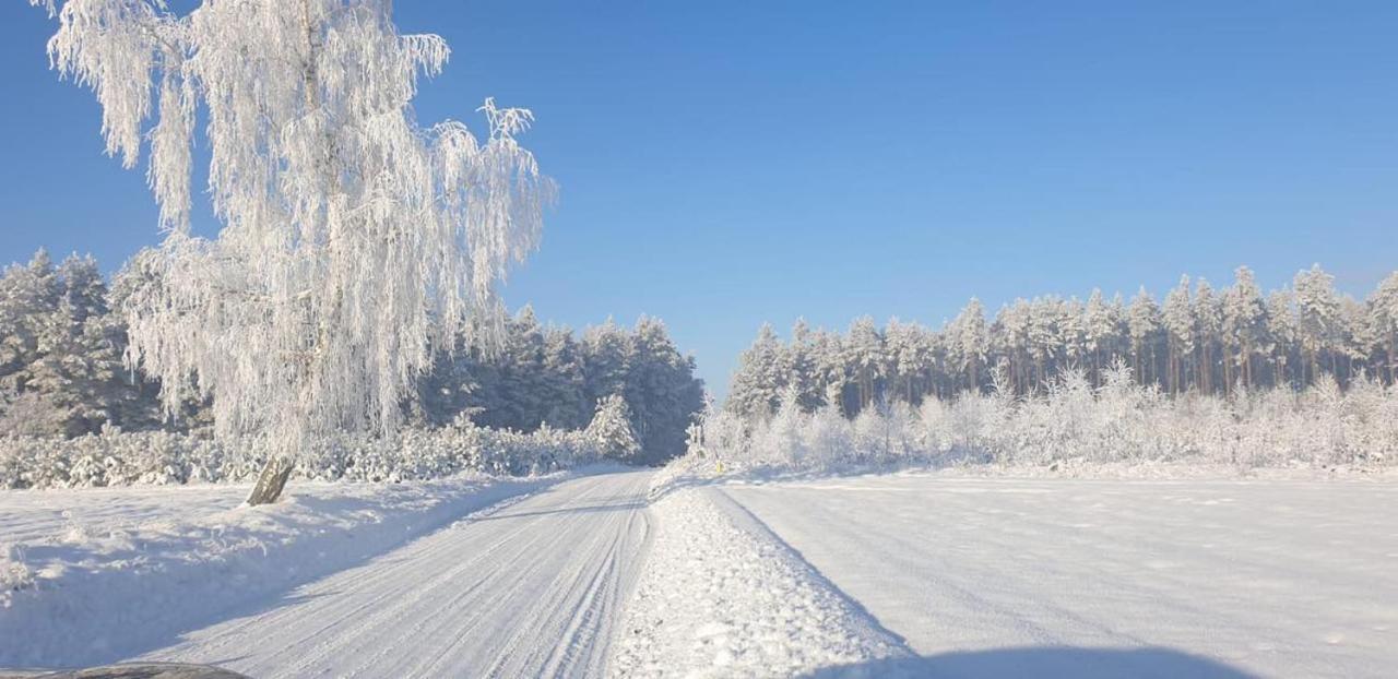 Ostoja Bukowo 12,2 Chata U Szoltesa Borowy Mlyn Kültér fotó