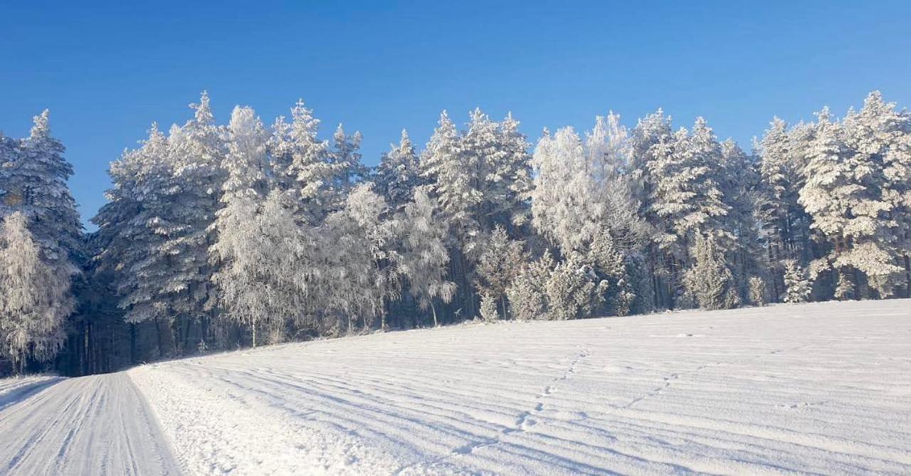 Ostoja Bukowo 12,2 Chata U Szoltesa Borowy Mlyn Kültér fotó